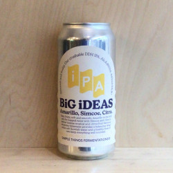 STF Big Ideas IPA Cans