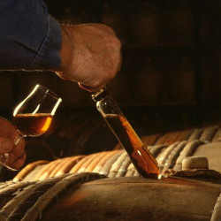 Cognac & Armagnac Tasting...